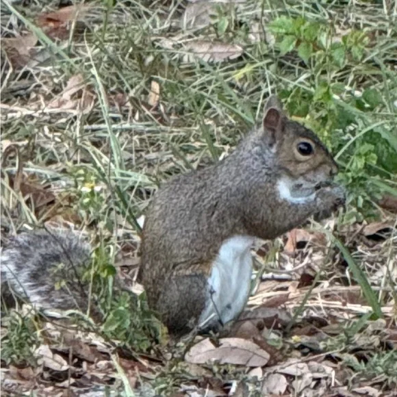 Random Items - Picture 1 of 1